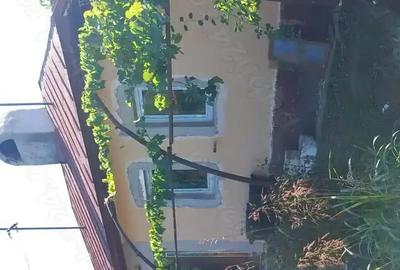 Vand casa Glodeanu Sili?tea - 1