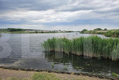 Teren de Vanzare - Lac Mogosoaia - 4