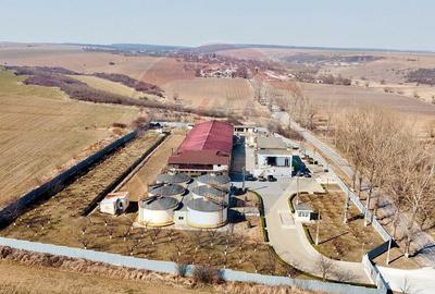 Crama din Buciumeni Afacere la cheie - 9