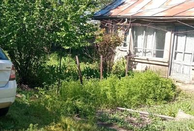 Casă cu 3 camere cu Teren 2588 Mp în Suhaia - 2
