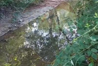 Casa langa parau-sat Brusturi, com. Halmagiu - 7