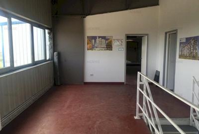 HALA NOUA PRODUCTIE/DEPOZITARE - 6