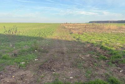 Teren de 507 mp, în Vadu Anei