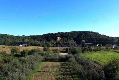 Teren 1594 mp intravilan - Suceava - Scheia! - 5