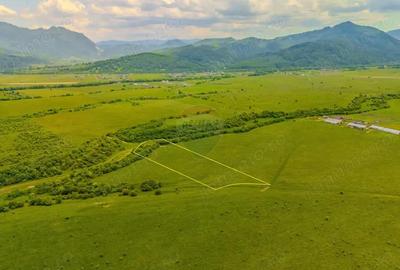 Teren de 10800 mp, în Râșnov - 2