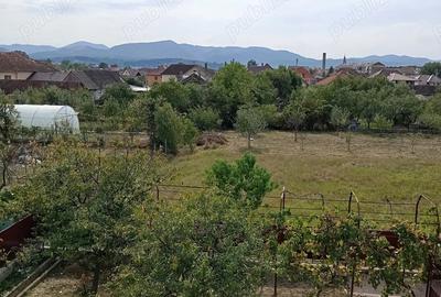 Casă cu 6 camere cu Teren 390 Mp în Central - 9