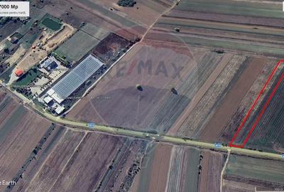 Teren Construcții intravilan de 7000 mp, în Stoenești (Florești-Stoenești) - 11