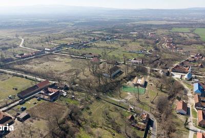 Casă cu 8 camere cu Teren 7235 Mp în Traian Vuia - 4