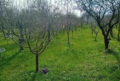 Casa de vanazare in Sandule?ti - 6