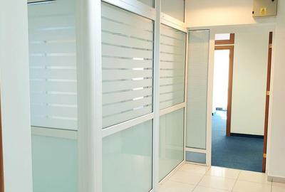 Spatiu birouri- Ion Mihalache- Ciuperca-Expozitiei - 24