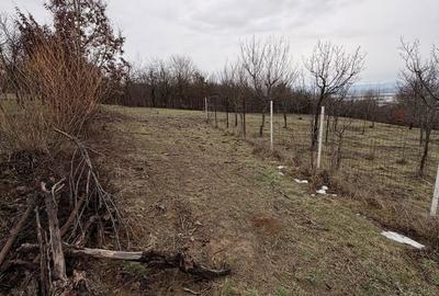 Spațiu comercial, în Buzești - 4