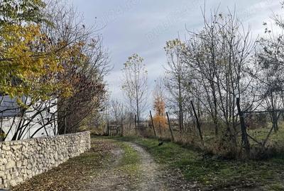 Teren de 953 mp, în Săteni