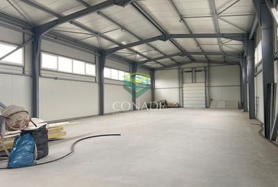 Hale Industriale de Vanzare/Inchiriere | Planul 2 DNCB | Pantelimon - 2