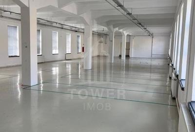 Hală industrială de închiriat în Cisnădie, județul Sibiu - 3