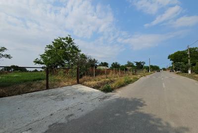 Teren 5.465 mp intravilan și front stradal – Topraisar, Constanța Comision Zero - 9