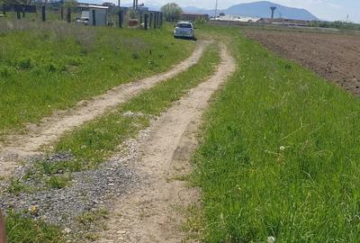 Teren de 1000 mp, în Colonia Bod - 6