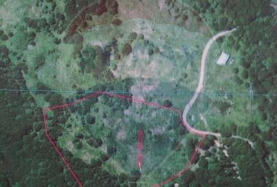 Teren agricol extravilan de 24581 mp, în Lepșa - 3