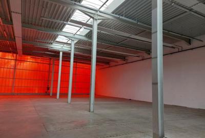 Proprietate specială, de 13,954 mp, în Otopeni - 2