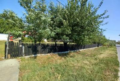 Casă cu 3 camere cu Teren 4658 Mp în Ghimpați - 5
