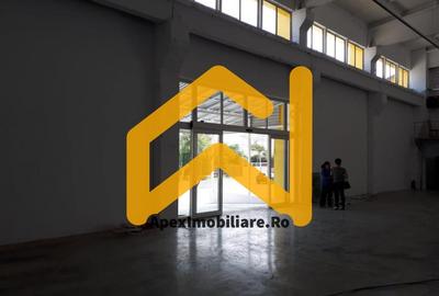 Spațiu comercial, de 550 mp, în Malu Roșu - 36