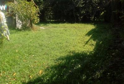 Casă cu 5 camere cu Teren 3800 Mp în Central - 2