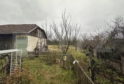 Teren 3000 mp + 2 case de vanzare-Ca?eiu - 13