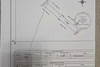 Spațiu comercial, în Copăceni - 1