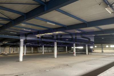 Spațiu industrial, de 19,300 mp, în Odăi - 20
