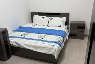 Apartament cu 2 camere semidecomandat, mobilat în Liviu Rebreanu - 3