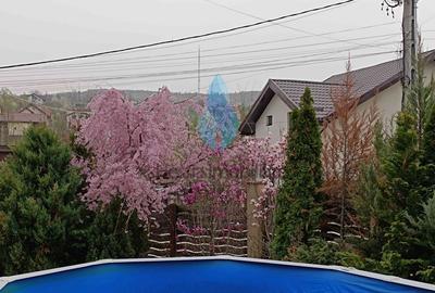 Casă cu 5 camere cu Teren 500 Mp în Bârnova - 2