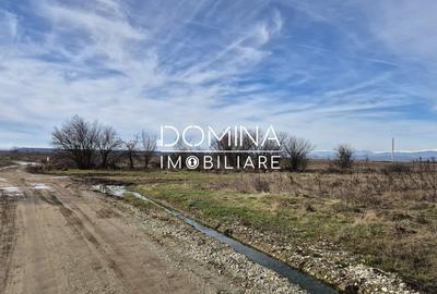 Teren Construcții intravilan de 5000 mp, în Dănești - 3