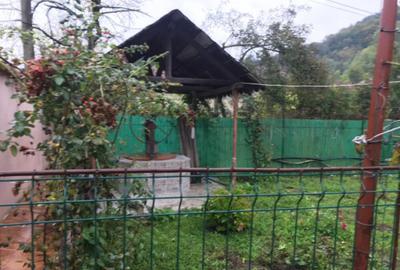 Casă cu 7 camere cu Teren 2500 Mp în Ilovăț - 8