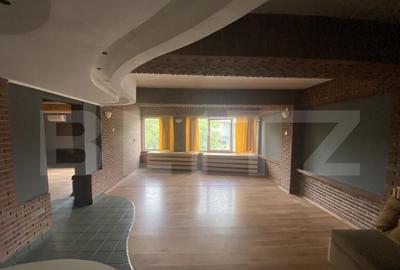 Cladire comerciala, 377 mp, zona Bulevardul Gheorghe Chitu - 11