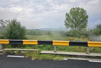 Teren în Sălătrucel - 5