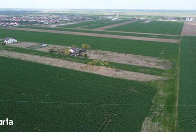Teren de 539 mp, în Vidra