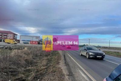 Teren Mihailesti- langa Dovinot. - 6