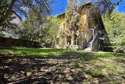 De vânzare – Apartament cu teren generos în cartierul Grigorescu, strada Donath - 10