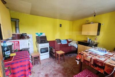 Casa +anexe de vanzare Casa +anexe de vanzare - 13