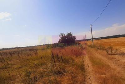 Teren pentru casa/case in Brane?ti pe strada Topora?i - 12