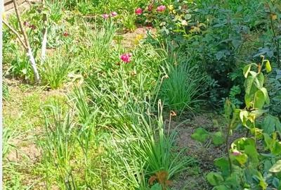 Casă cu 5 camere cu Teren 1800 Mp în Unirea