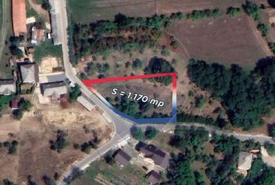 Teren Construcții intravilan de 1170 mp, în Cărbunari - 11