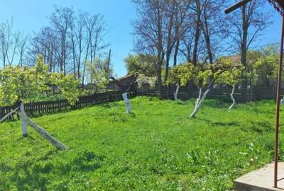 Casă cu 2 camere în Vale - 5