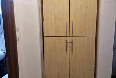 COLENTINA RAU, MAIOR BACILA IN PLAN SECUND, PARCUL PLUMBUITA LA 5MIN. - 16