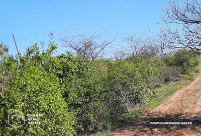 Teren de 4158 mp, în Ghioroc - 3