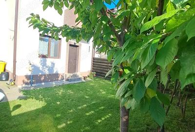 Casa de inchiriat Domnesti Ilfov - 8