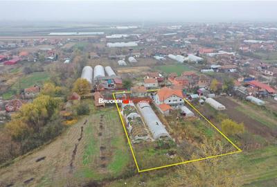 Casa de in Mihai Bravu - 2