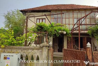 Casă cu 4 camere cu Teren 1730 Mp în Mihăești - 1