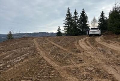 Spațiu comercial, în Dârlești - 8