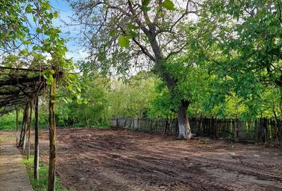 Spațiu comercial, în Merii Petchii - 5