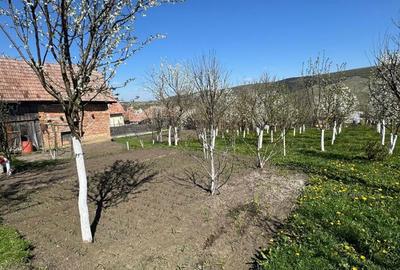 Casă cu 3 camere în Nord - 7